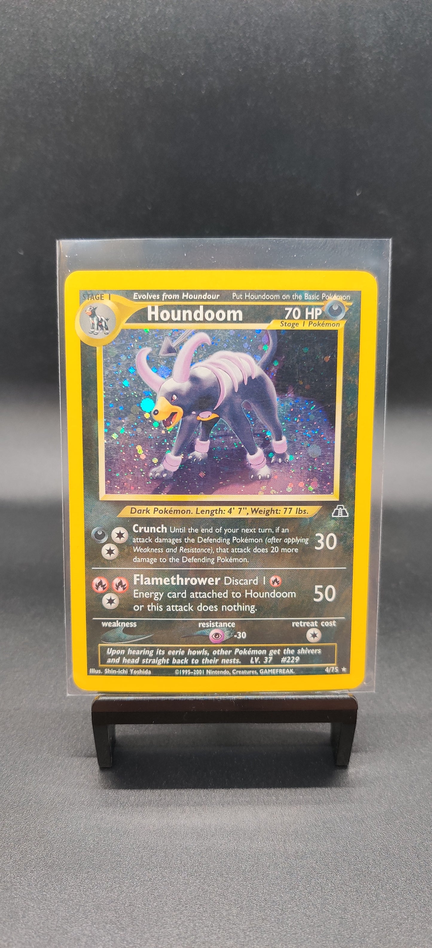 Houndoom holo New Discovery LP